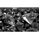 Wallpapers mural black diamonds Wallpapers mural black diamonds