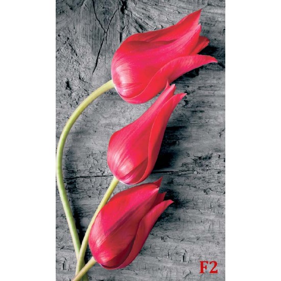 wallpapers red tulips on gray tree
