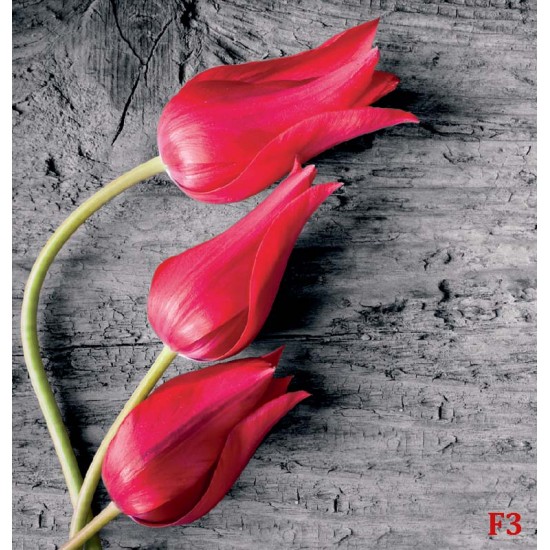 wallpapers red tulips on gray tree
