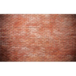 Photo mural imitation brick wall standard red bricks