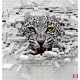 Photo mural broken brick wall with predatory leopard Photo mural broken brick wall with predatory leopard
