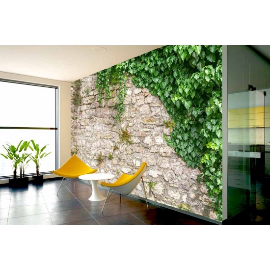 Wall murals stucco a wall of stone wall enveloped in ivy Wall murals stucco a wall of stone wall enveloped in ivy
