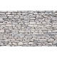 Photo mural rough stones texture imitation in light shade Photo mural rough stones texture imitation in light shade