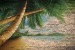 Wallpapers mural modern brick wall with view of palms