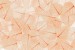 Wall mural leaves structure in orange gamma