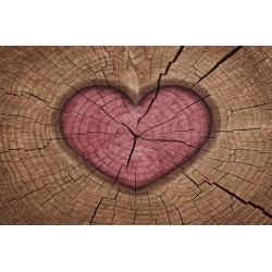 Photo mural wooden structure in the shape of a hart