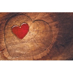 Photo mural wooden structure in the shape of a hart 2