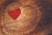 Photo mural wooden structure in the shape of a hart 2