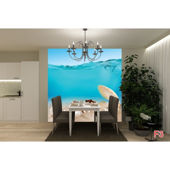 Wallpapers mural seashells under water Wallpapers mural seashells under water