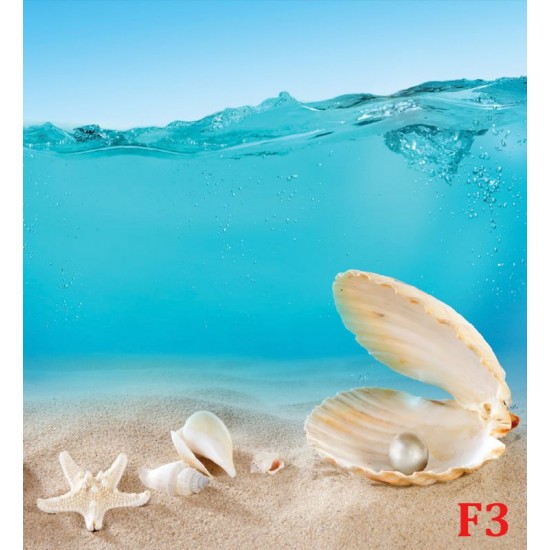 Wallpapers mural seashells under water Wallpapers mural seashells under water