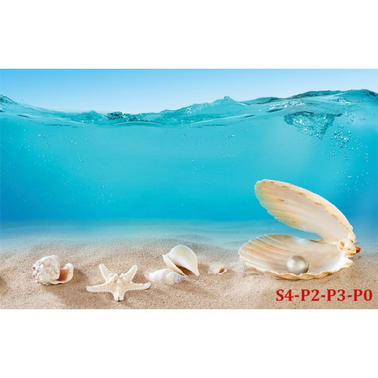 Wallpapers mural seashells under water Wallpapers mural seashells under water