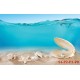 Wallpapers mural seashells under water Wallpapers mural seashells under water