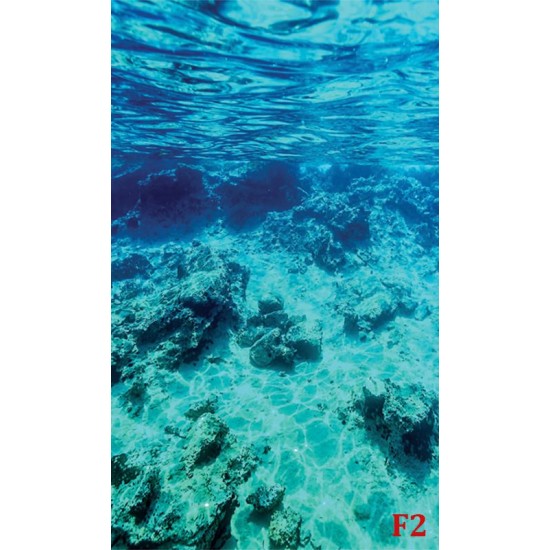 Wallpapers mural sea underwater bottom beautiful view