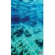 Wallpapers mural sea underwater bottom beautiful view