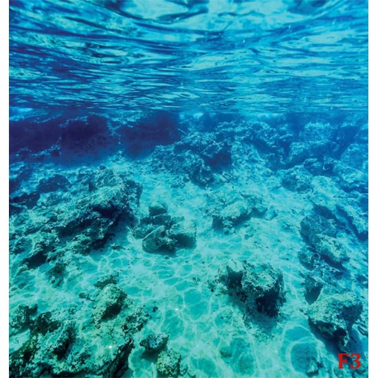 Wallpapers mural sea underwater bottom beautiful view