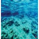 Wallpapers mural sea underwater bottom beautiful view