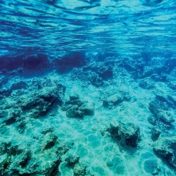 Wallpapers mural sea underwater bottom beautiful view