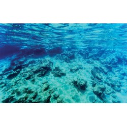 Wallpapers mural sea underwater bottom beautiful view Wallpapers mural sea underwater bottom beautiful view