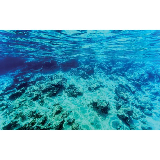 Wallpapers mural sea underwater bottom beautiful view