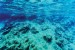 Wallpapers mural sea underwater bottom beautiful view
