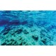 Wallpapers mural sea underwater bottom beautiful view