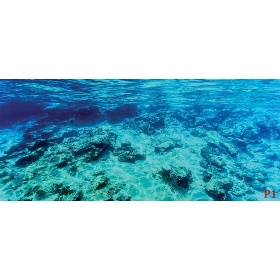 Wallpapers mural sea underwater bottom beautiful view