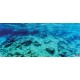 Wallpapers mural sea underwater bottom beautiful view