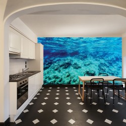 Wallpapers mural sea underwater bottom beautiful view