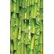 Wall mural wall of stacked green bamboo 2