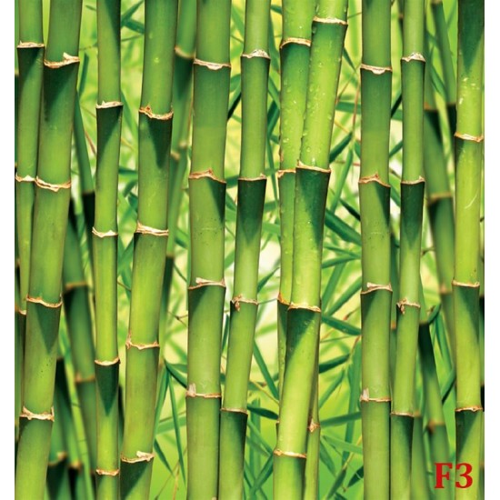 Wall mural wall of stacked green bamboo 2