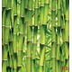Wall mural wall of stacked green bamboo 2
