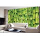 Wall mural wall of stacked green bamboo 2