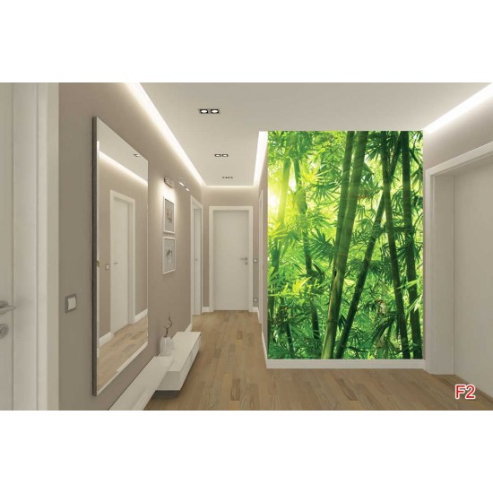 Wall murals green a bamboo forest Wall murals green a bamboo forest