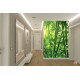 Wall murals green a bamboo forest Wall murals green a bamboo forest