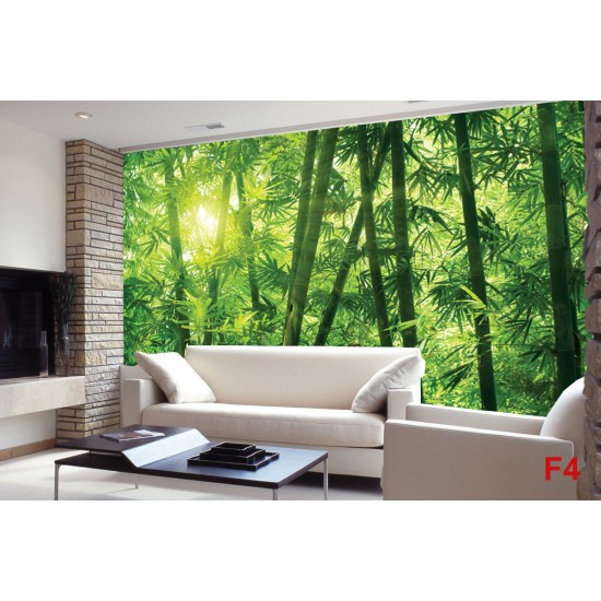 Wall murals green a bamboo forest Wall murals green a bamboo forest
