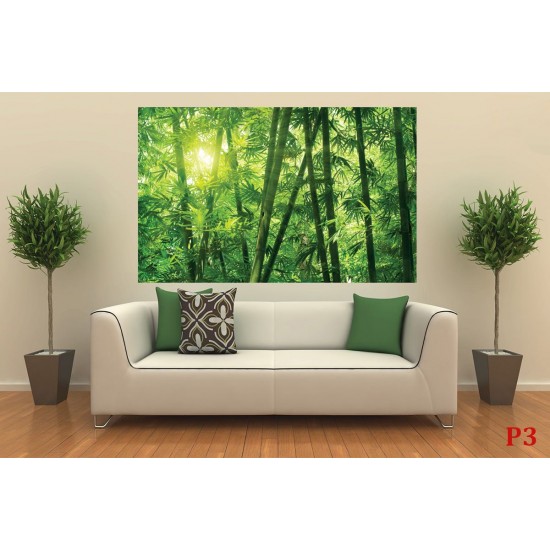 Wall murals green a bamboo forest Wall murals green a bamboo forest