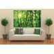 Wall murals green a bamboo forest Wall murals green a bamboo forest