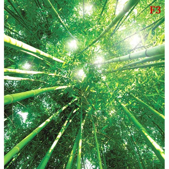 Wall murals view of bamboo forest Wall murals view of bamboo forest