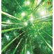 Wall murals view of bamboo forest Wall murals view of bamboo forest