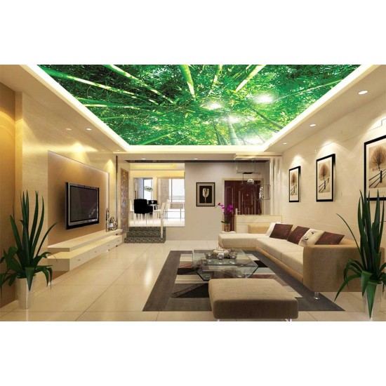 Wall murals view of bamboo forest Wall murals view of bamboo forest