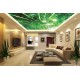 Wall murals view of bamboo forest Wall murals view of bamboo forest
