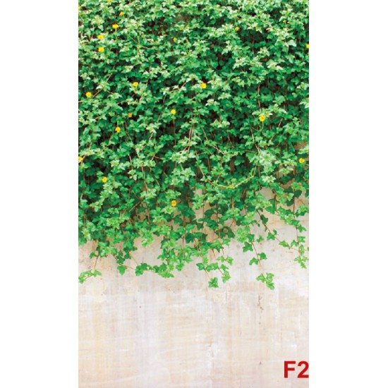 Wall murals stucco wall with green leaves
