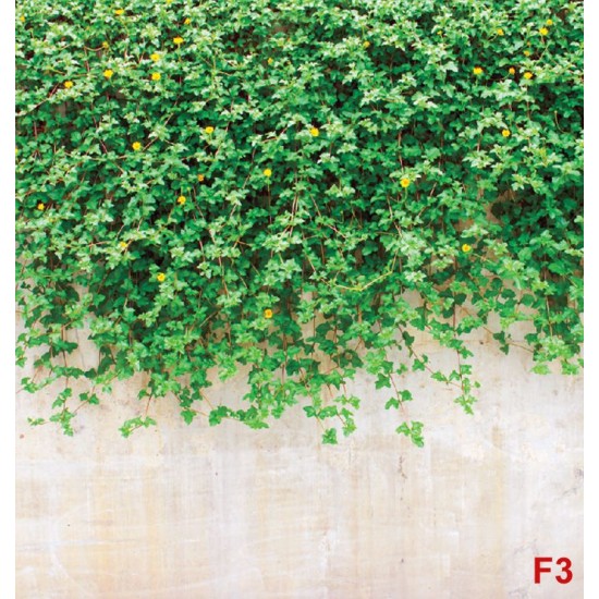 Wall murals stucco wall with green leaves