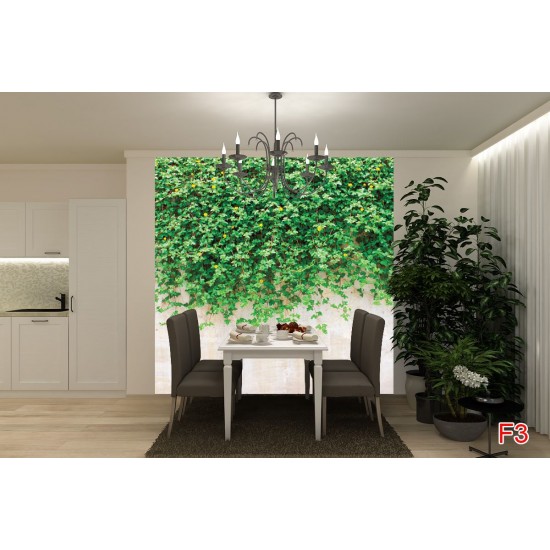 Wall murals stucco wall with green leaves