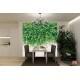 Wall murals stucco wall with green leaves