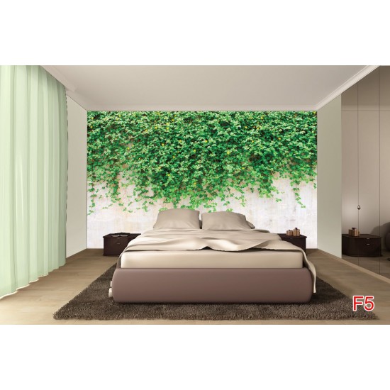 Wall murals stucco wall with green leaves