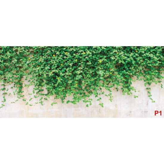 Wall murals stucco wall with green leaves