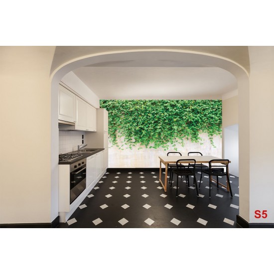 Wall murals stucco wall with green leaves