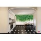 Wall murals stucco wall with green leaves