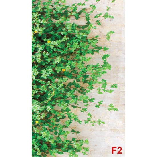 Wall murals stucco wall with green leaves 2 Wall murals stucco wall with green leaves 2